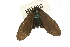  ( - BL400)  @13 [ ] CreativeCommons - Attribution (2009) Unspecified Centre for Biodiversity Genomics