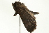  ( - BL501)  @12 [ ] CreativeCommons - Attribution (2009) Unspecified Centre for Biodiversity Genomics