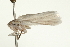  ( - BL596)  @12 [ ] CreativeCommons - Attribution (2009) Unspecified Centre for Biodiversity Genomics