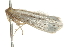  ( - BL730)  @12 [ ] CreativeCommons - Attribution (2009) Unspecified Centre for Biodiversity Genomics