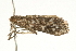 ( - BL814)  @12 [ ] CreativeCommons - Attribution (2009) Unspecified Centre for Biodiversity Genomics