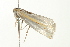  ( - BL828)  @12 [ ] CreativeCommons - Attribution (2009) Unspecified Centre for Biodiversity Genomics