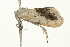 ( - BL880)  @12 [ ] CreativeCommons - Attribution (2009) Unspecified Centre for Biodiversity Genomics