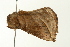  ( - BL993)  @12 [ ] CreativeCommons - Attribution (2009) Unspecified Centre for Biodiversity Genomics