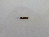  ( - DOR_2018_156_8_1)  @11 [ ] CreativeCommons  Attribution (by) (2019) Jamie Weir University of Edinburgh