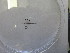  (Asynapta inflatoides - SLS_2019_151_12_13)  @11 [ ] nrr  NA NA