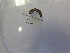  ( - DUN_2021_175_17_1)  @11 [ ] nrr  NA NA