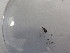  ( - SLS_2021_165_6_1)  @11 [ ] nrr  NA NA