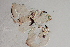  ( - 24-SWRC-0757)  @11 [ ] CreativeCommons - Attribution (2024) Stroud Water Research Center (SWRC) Stroud Water Research Center (SWRC)