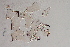  ( - 24-SWRC-0773)  @11 [ ] CreativeCommons - Attribution (2024) Stroud Water Research Center (SWRC) Stroud Water Research Center (SWRC)