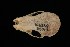  ( - ROM 106369)  @12 [ ] Unspecified (default): All Rights Reserved  Unspecified Unspecified
