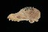  ( - ROM 106369)  @12 [ ] Unspecified (default): All Rights Reserved  Unspecified Unspecified