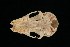  ( - ROM 106369)  @12 [ ] Unspecified (default): All Rights Reserved  Unspecified Unspecified