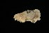  ( - ROM 106391)  @12 [ ] Unspecified (default): All Rights Reserved  Unspecified Unspecified