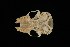  ( - ROM 106391)  @12 [ ] Unspecified (default): All Rights Reserved  Unspecified Unspecified