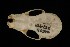  ( - ROM 106420)  @12 [ ] Unspecified (default): All Rights Reserved  Unspecified Unspecified