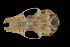  ( - ROM 106420)  @12 [ ] Unspecified (default): All Rights Reserved  Unspecified Unspecified
