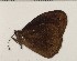  ( - CCDB-02225-D03)  @13 [ ] Copyright (2009) Unspecified The Research Collection of David C. Lees