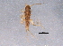  ( - BIOUG11189-E06)  @12 [ ] CreativeCommons - Attribution (2014) CBG Photography Group Centre for Biodiversity Genomics