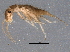  ( - BIOUG11189-E08)  @13 [ ] CreativeCommons - Attribution (2014) CBG Photography Group Centre for Biodiversity Genomics