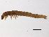  ( - BIOUG12556-E09)  @12 [ ] CreativeCommons - Attribution (2014) CBG Photography Group Centre for Biodiversity Genomics
