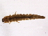  ( - BIOUG12556-H02)  @12 [ ] CreativeCommons - Attribution (2014) CBG Photography Group Centre for Biodiversity Genomics