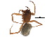  ( - PF14-12-05)  @14 [ ] CreativeCommons - Attribution (2015) CBG Photography Group Centre for Biodiversity Genomics