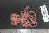  ( - 22-BMACGNEM-00043)  @11 [ ] CreativeCommons - Attribution Share-Alike (2025) Jeffrey Sibaja Cordero Universidad de Costa Rica