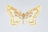  ( - Eo00989)  @11 [ ] Copyright (2009) Natural History Museum, London Natural History Museum, London