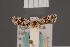  ( - BMNH(E)-954173)  @11 [ ] Copyright (2011) NHM London NHM London