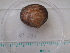  ( - MT04848)  @11 [ ] CreativeCommons - Attribution Non-Commercial Share-Alike (2015) Unspecified Deutsche Zentrum fuer Marine Biodiversitaetsforschung Wilhelmshaven