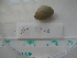  ( - MT04872)  @11 [ ] CreativeCommons - Attribution Non-Commercial Share-Alike (2015) Unspecified Deutsche Zentrum fuer Marine Biodiversitaetsforschung Wilhelmshaven