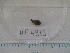  ( - MT04969)  @11 [ ] CreativeCommons - Attribution Non-Commercial Share-Alike (2015) Unspecified Deutsche Zentrum fuer Marine Biodiversitaetsforschung Wilhelmshaven