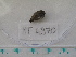  ( - MT04970)  @11 [ ] CreativeCommons - Attribution Non-Commercial Share-Alike (2015) Unspecified Deutsche Zentrum fuer Marine Biodiversitaetsforschung Wilhelmshaven
