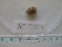  ( - MT05004)  @13 [ ] CreativeCommons - Attribution Non-Commercial Share-Alike (2015) Unspecified Deutsche Zentrum fuer Marine Biodiversitaetsforschung Wilhelmshaven