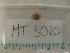  ( - MT05020)  @11 [ ] CreativeCommons - Attribution Non-Commercial Share-Alike (2015) Unspecified Deutsche Zentrum fuer Marine Biodiversitaetsforschung Wilhelmshaven