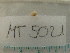  ( - MT05021)  @11 [ ] CreativeCommons - Attribution Non-Commercial Share-Alike (2015) Unspecified Deutsche Zentrum fuer Marine Biodiversitaetsforschung Wilhelmshaven