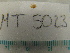  ( - MT05023)  @11 [ ] CreativeCommons - Attribution Non-Commercial Share-Alike (2015) Unspecified Deutsche Zentrum fuer Marine Biodiversitaetsforschung Wilhelmshaven
