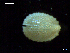  ( - MT07713)  @11 [ ] CreativeCommons - Attribution Non-Commercial Share-Alike (2015) Unspecified Deutsche Zentrum fuer Marine Biodiversitaetsforschung Wilhelmshaven