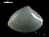  ( - MT07720)  @11 [ ] CreativeCommons - Attribution Non-Commercial Share-Alike (2015) Unspecified Deutsche Zentrum fuer Marine Biodiversitaetsforschung Wilhelmshaven