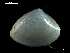  ( - MT07720)  @11 [ ] CreativeCommons - Attribution Non-Commercial Share-Alike (2015) Unspecified Deutsche Zentrum fuer Marine Biodiversitaetsforschung Wilhelmshaven