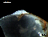  ( - MT07734)  @11 [ ] CreativeCommons - Attribution Non-Commercial Share-Alike (2015) Unspecified Deutsche Zentrum fuer Marine Biodiversitaetsforschung Wilhelmshaven