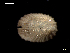  ( - MT07748)  @11 [ ] CreativeCommons - Attribution Non-Commercial Share-Alike (2015) Unspecified Deutsche Zentrum fuer Marine Biodiversitaetsforschung Wilhelmshaven