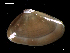  ( - MT07751)  @13 [ ] CreativeCommons - Attribution Non-Commercial Share-Alike (2015) Unspecified Deutsche Zentrum fuer Marine Biodiversitaetsforschung Wilhelmshaven