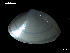  ( - MT07757)  @11 [ ] CreativeCommons - Attribution Non-Commercial Share-Alike (2015) Unspecified Deutsche Zentrum fuer Marine Biodiversitaetsforschung Wilhelmshaven