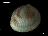  ( - MT07758)  @11 [ ] CreativeCommons - Attribution Non-Commercial Share-Alike (2015) Unspecified Deutsche Zentrum fuer Marine Biodiversitaetsforschung Wilhelmshaven