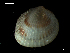  ( - MT07758)  @11 [ ] CreativeCommons - Attribution Non-Commercial Share-Alike (2015) Unspecified Deutsche Zentrum fuer Marine Biodiversitaetsforschung Wilhelmshaven