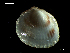 ( - MT07758)  @11 [ ] CreativeCommons - Attribution Non-Commercial Share-Alike (2015) Unspecified Deutsche Zentrum fuer Marine Biodiversitaetsforschung Wilhelmshaven