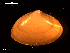  ( - MT09051)  @11 [ ] CreativeCommons - Attribution Non-Commercial Share-Alike (2015) Unspecified Deutsche Zentrum fuer Marine Biodiversitaetsforschung Wilhelmshaven