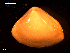 ( - MT09056)  @11 [ ] CreativeCommons - Attribution Non-Commercial Share-Alike (2015) Unspecified Deutsche Zentrum fuer Marine Biodiversitaetsforschung Wilhelmshaven
